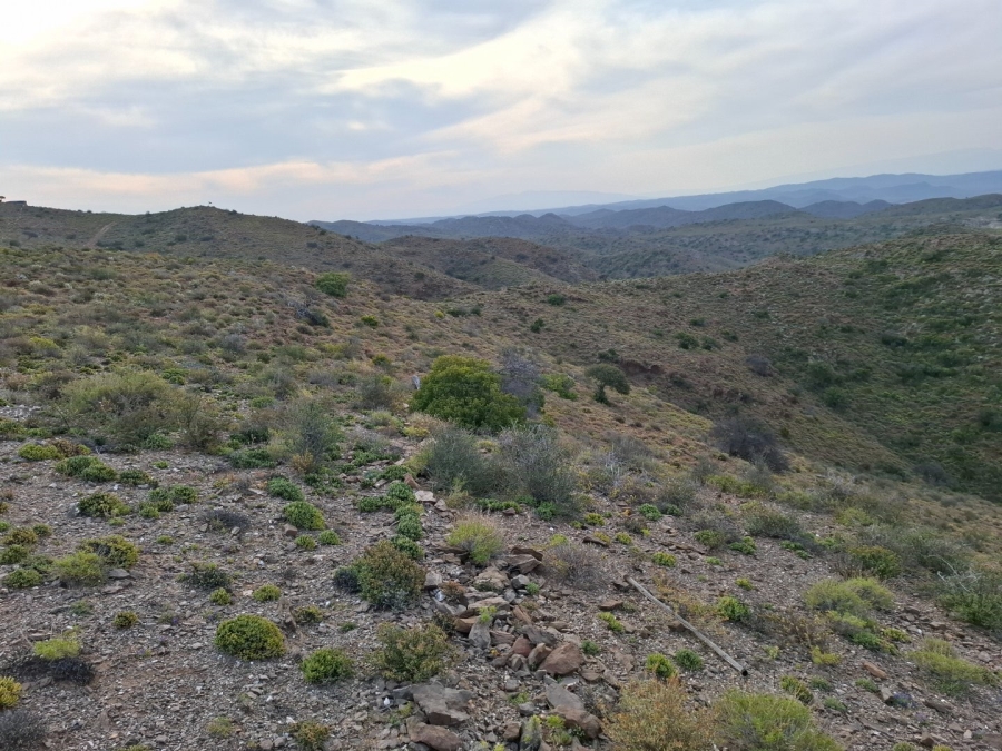  Bedroom Property for Sale in Van Wyksdorp Western Cape